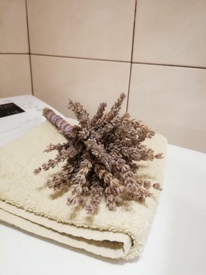 Apartman Jela Šibenik Dış mekan fotoğraf
